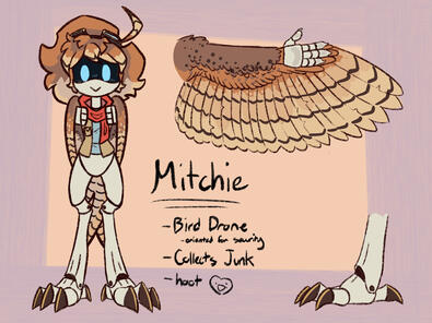 Mitchie The Owl Drone